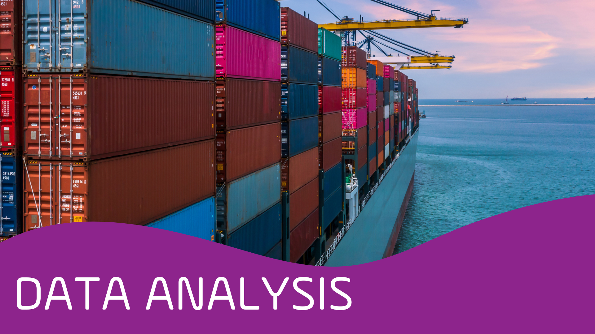 Setlog Data Analysis Fall 2024