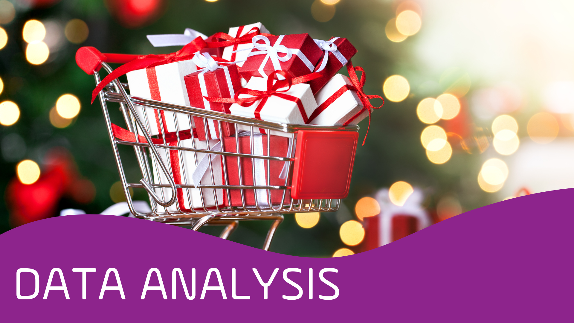 Setlog Data Analysis for Holiday Business Christmas 2024